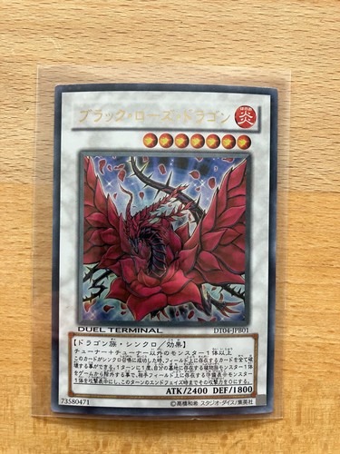 Drago rosa nera - drago,